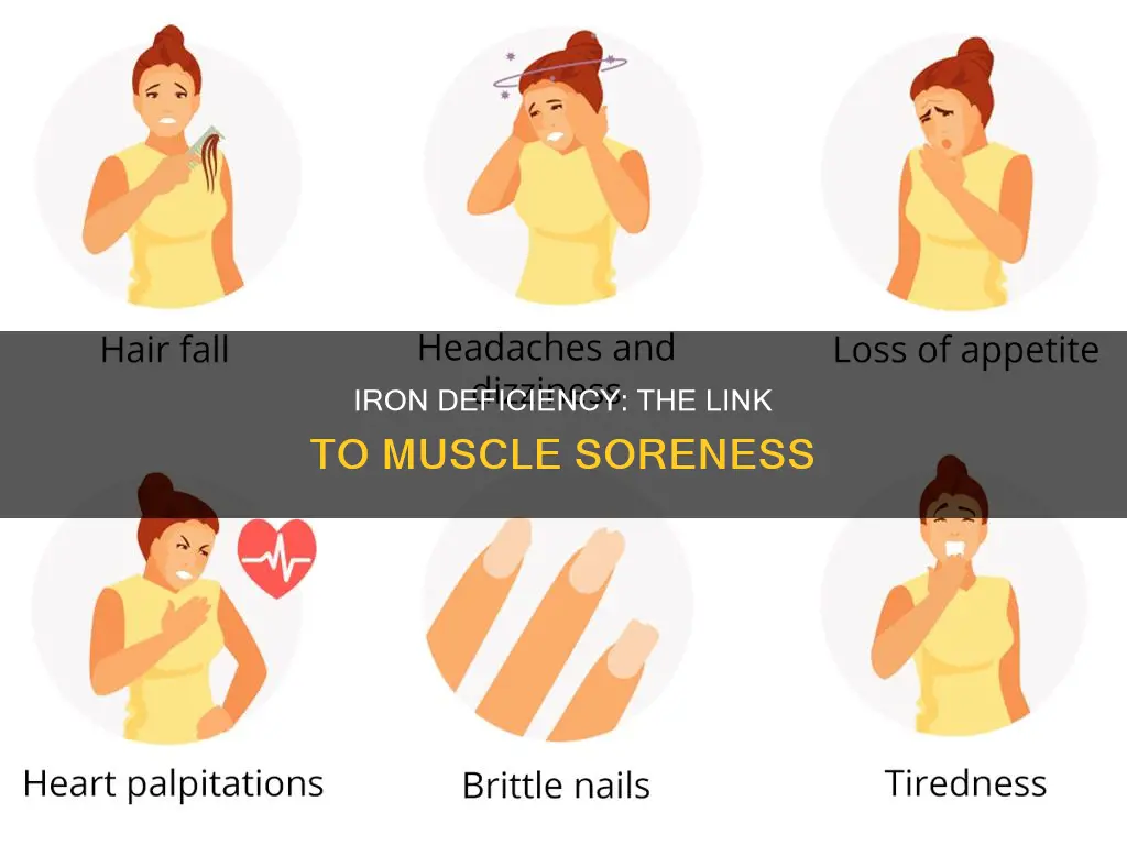 does low iron cause sore muscles