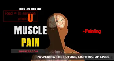 Low Iron Levels: Uncovering the Link to Muscle Pain and Fatigue