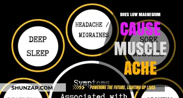Magnesium Deficiency: The Cause of Your Muscle Aches?