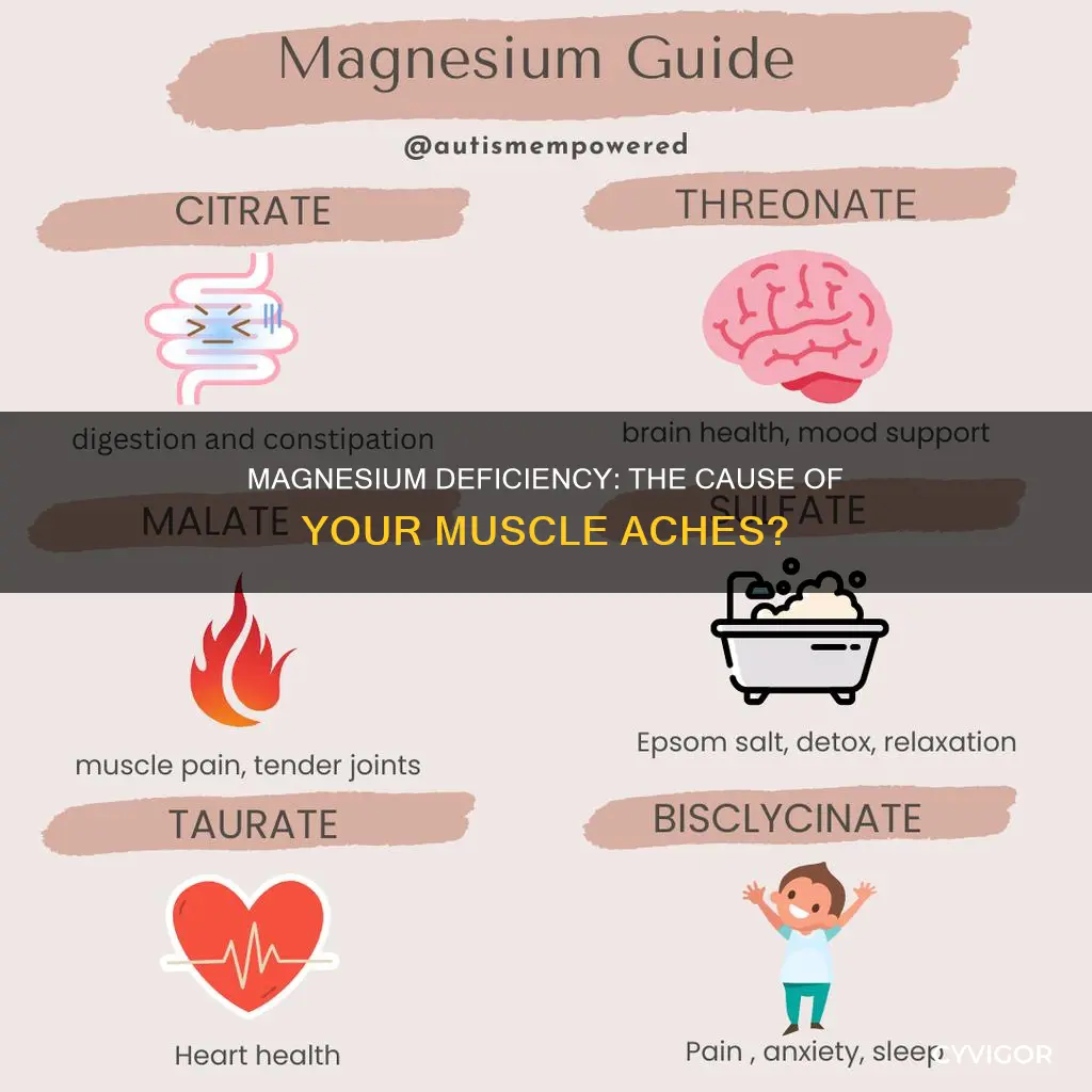 does low magnesium cause muscle ache
