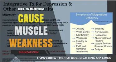 Magnesium Deficiency: Muscle Weakness and Fatigue