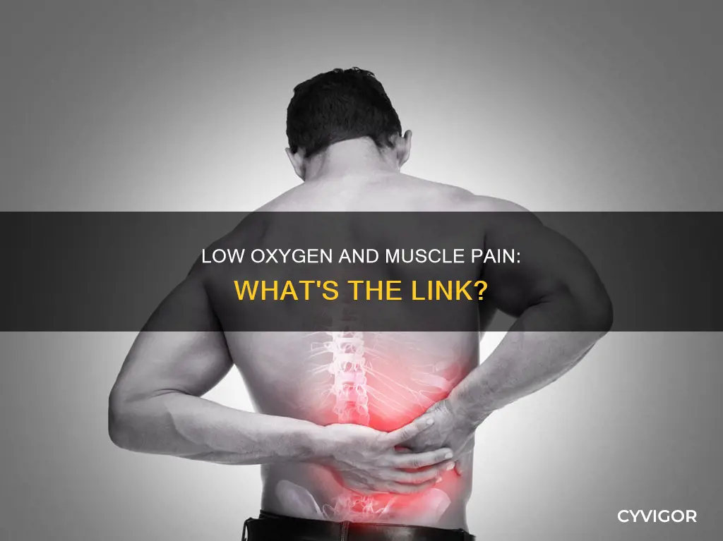 does low oxygen cause muscle pain