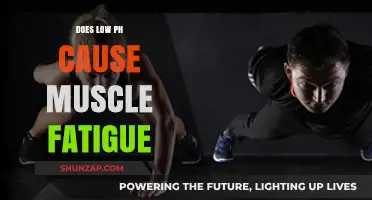 How Low pH Levels Cause Muscle Fatigue