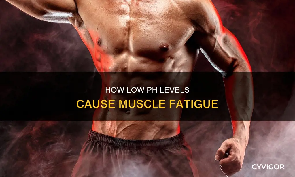 does low ph cause muscle fatigue
