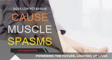 How Low Potassium Levels Trigger Muscle Spasms
