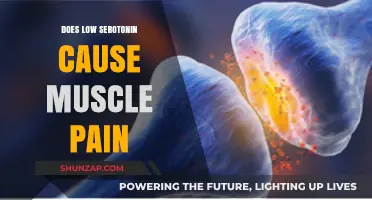 Serotonin's Link to Muscle Pain: What's the Deal?
