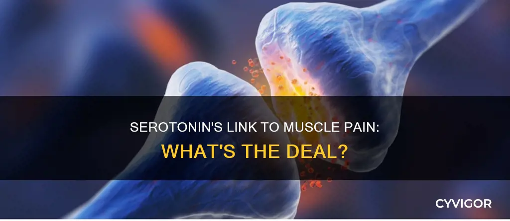does low serotonin cause muscle pain