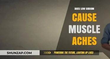 Low Sodium and Muscle Aches: Is There a Link?