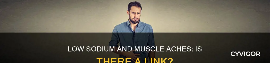 does low sodium cause muscle aches