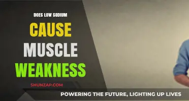 Low Sodium and Muscle Weakness: Is There a Link?