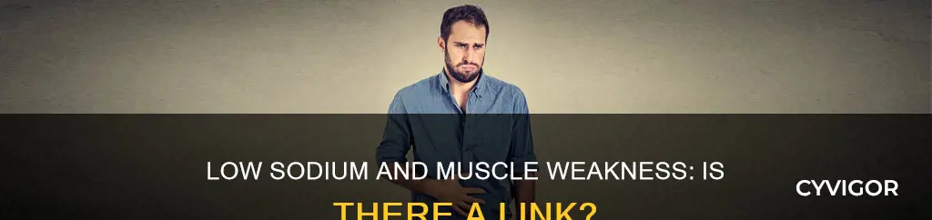 does low sodium cause muscle weakness