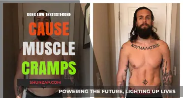 Testosterone and Muscle Cramps: What's the Link?