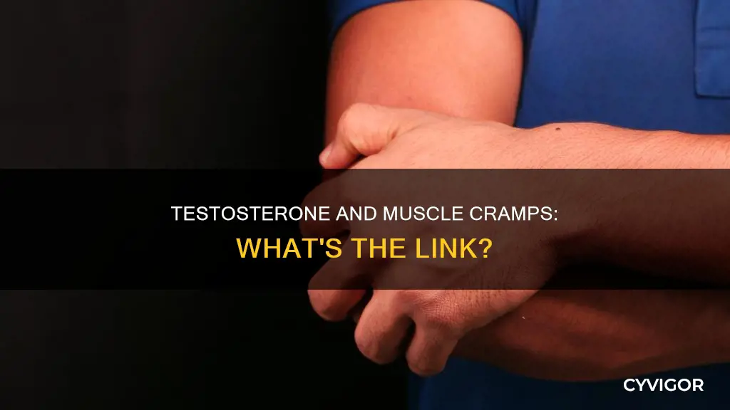 does low testosterone cause muscle cramps