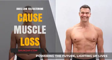Testosterone and Muscle Loss: What's the Link?