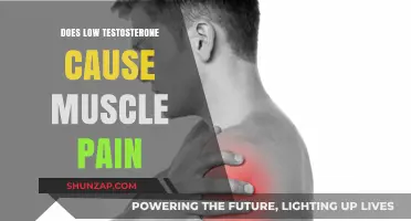 Testosterone and Muscle Pain: Is There a Link?