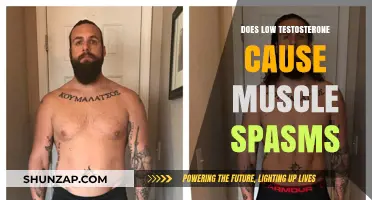 Testosterone and Muscle Spasms: Is There a Link?
