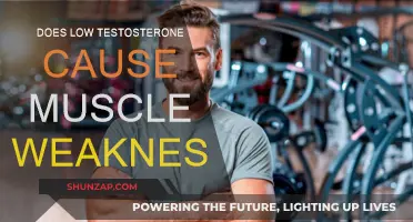 Testosterone and Muscle Weakness: What's the Link?