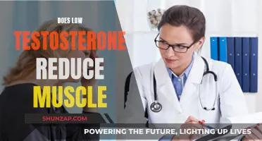 Testosterone and Muscle Loss: What's the Connection?