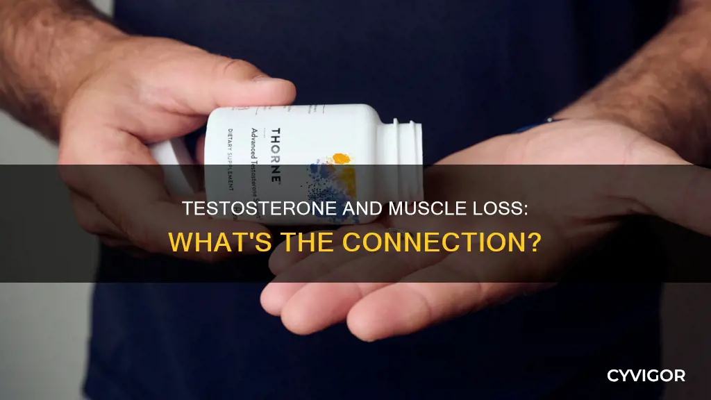 does low testosterone reduce muscle