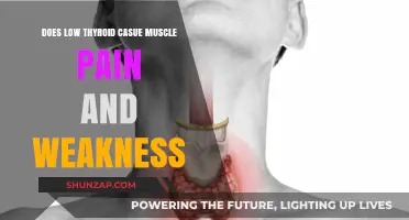 Low Thyroid and Muscle Pain: Understanding the Weakness Connection