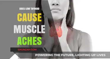 Thyroid Dysfunction: Muscle Aches and Pains