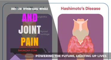 Thyroid Dysfunction: Muscle and Joint Pain Explained