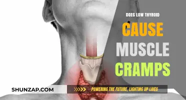 Thyroid Dysfunction: Muscle Cramps and Fatigue