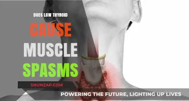Thyroid and Muscle Spasms: Is There a Link?