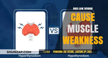 Thyroid Dysfunction: Muscle Weakness and Fatigue