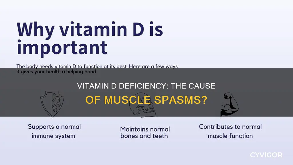 does low vitamin d cause muscle sammy