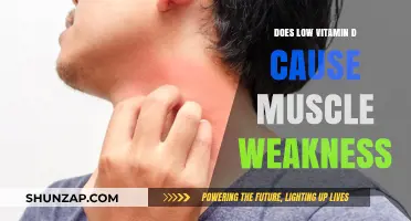 Vitamin D Deficiency: The Link to Muscle Weakness