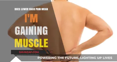 Lower Back Pain: Muscle Growth Indicator or Red Flag?