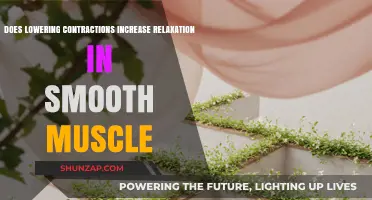 Lowering Contractions: Enhancing Smooth Muscle Relaxation Through Reduced Activity