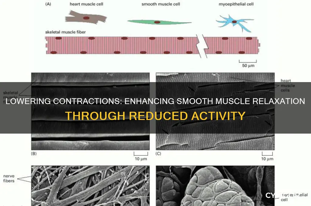 does lowering contractions increase relaxation in smooth muscle