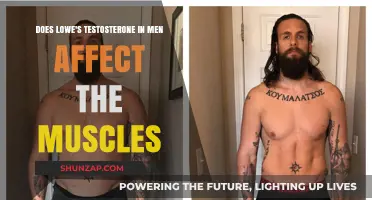 Exploring the Impact of Low Testosterone on Muscle Health in Men