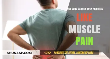Lung Cancer Back Pain vs. Muscle Pain: Key Differences Explained