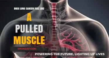 Lung Cancer vs. Pulled Muscle: Recognizing Symptoms and Seeking Help