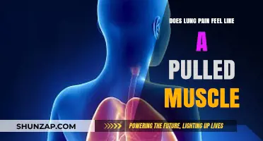 Lung Pain vs. Pulled Muscle: Understanding the Difference in Symptoms