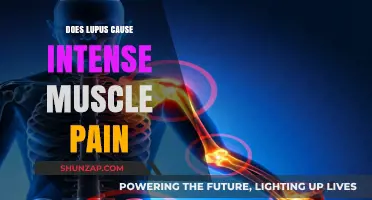 Lupus and Muscle Pain: What's the Connection?