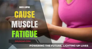 Lupus and Muscle Fatigue: Understanding the Connection