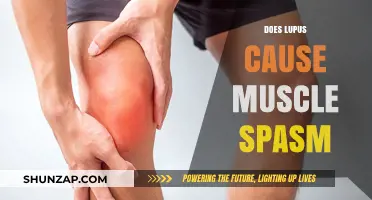 Lupus and Muscle Spasms: What's the Link?