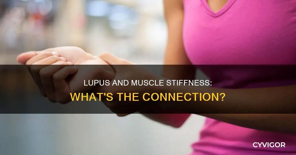 does lupus cause muscle stiffness