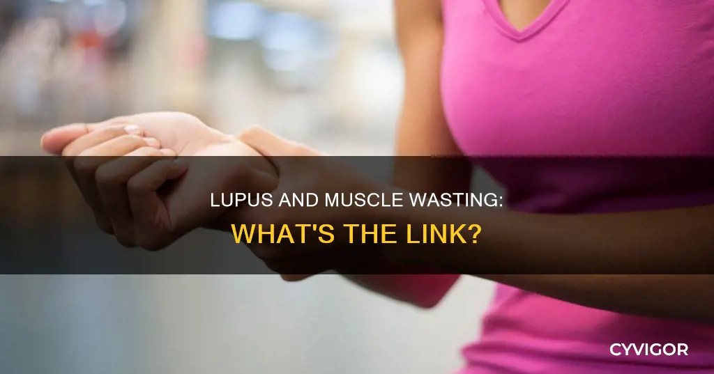 does lupus cause muscle wasting