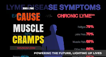 Lyme Disease: Understanding Muscle Cramps and Treatment