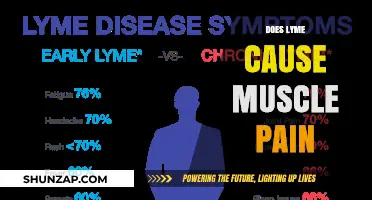 Lyme Disease: Understanding Muscle Pain Symptoms