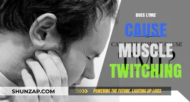 Lyme Disease and Muscle Twitching: What's the Link?