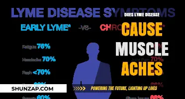Lyme Disease: Understanding Muscle Aches and Pains