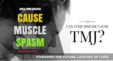 Lyme Disease: Muscle Spasms and Treatment