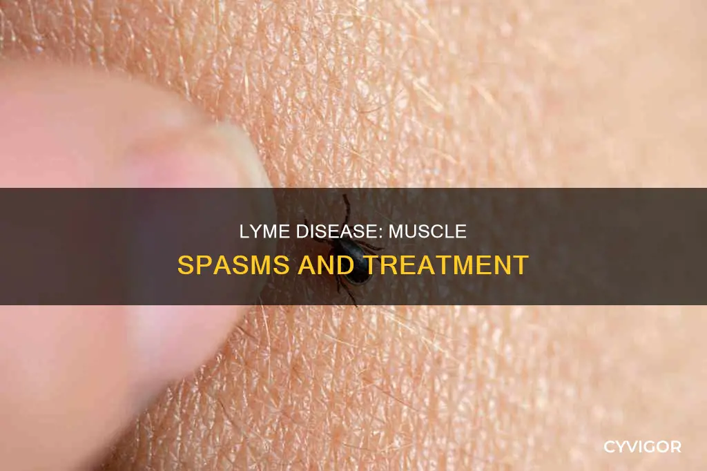 does lyme disease cause muscle spasm