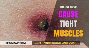 Lyme Disease: Can It Cause Muscle Tightness?